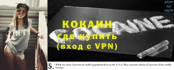 ешки Сафоново