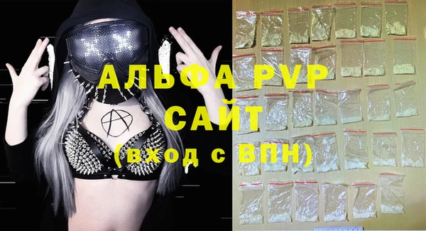 дживик Саяногорск