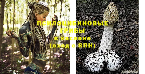 дурь Арсеньев