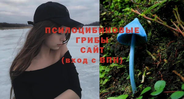 гидропоника Армянск