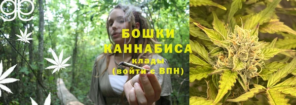 дурь Арсеньев