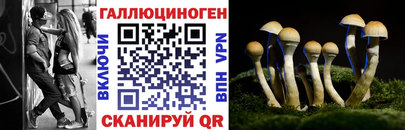 наркошоп  Лобня  Псилоцибиновые грибы мицелий 